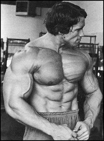 arnold schwarzenegger bodybuilding tips. Arnold Schwarzenegger