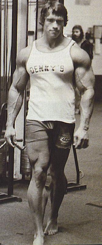 arnold schwarzenegger bodybuilding diet. Arnold Schwarzenegger
